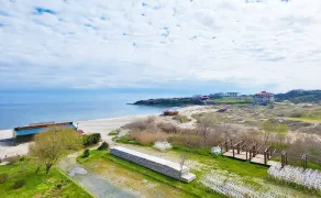 regina-mare