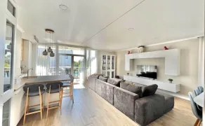 oasis