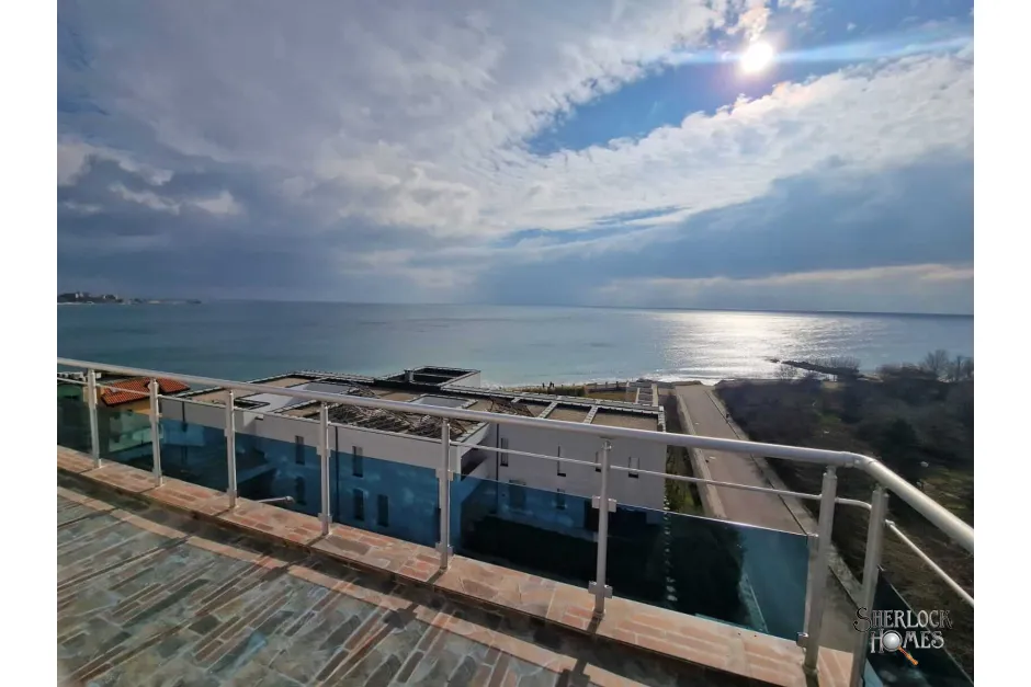 oasis