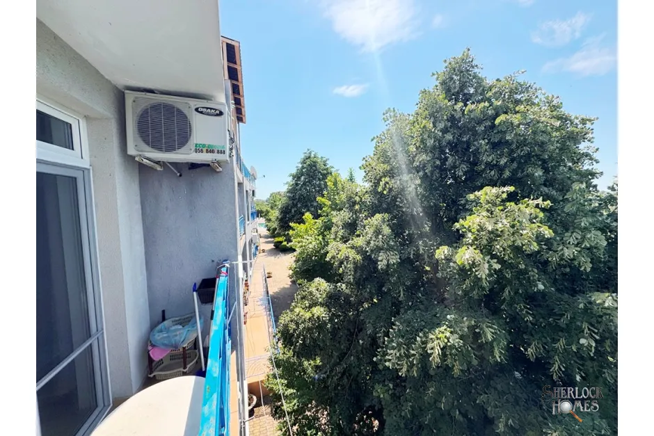 sunny-day4