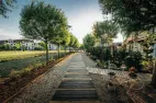 green-life