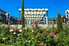 rose-gardens