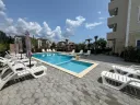 magnolia6