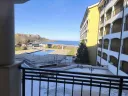 regina-mare