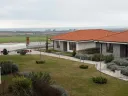 vineyards