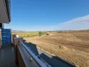 sunny-day