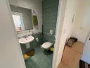 koral