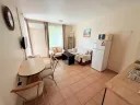 summer-dreams