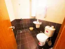 golden-day